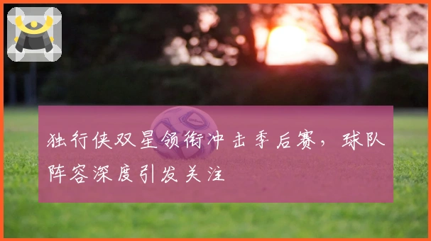 独行侠双星领衔冲击季后赛，球队阵容深度引发关注