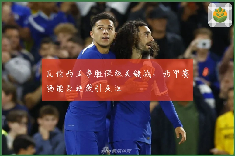 瓦伦西亚争胜保级关键战，西甲赛场能否逆袭引关注