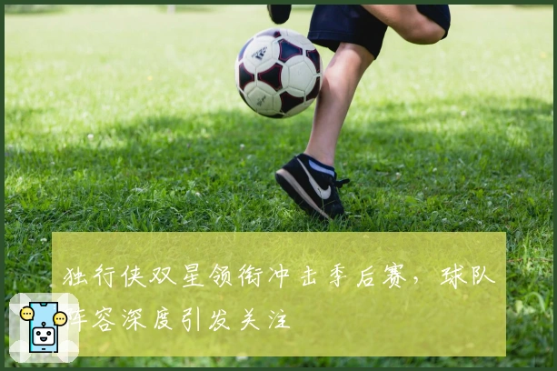 独行侠双星领衔冲击季后赛，球队阵容深度引发关注